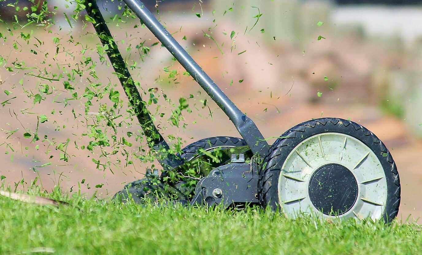 robot koszący Warszawa